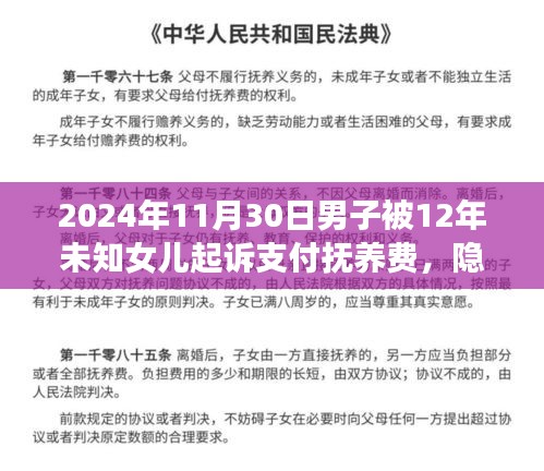 男子隐匿十二年父爱归位，面临抚养费等家庭纷争终极挑战事件回顾