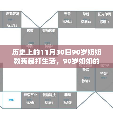 历史上的11月30日，90岁奶奶的智能生活秘籍与暴打生活启示录