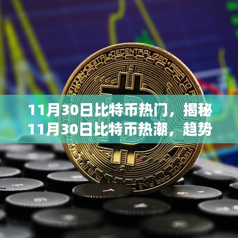 揭秘比特币热潮，趋势、影响与未来展望（11月30日热点分析）