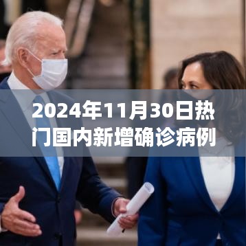 揭秘科技重塑抗疫之路，智能病例追踪系统体验报告（2024年热门国内新增确诊病例）