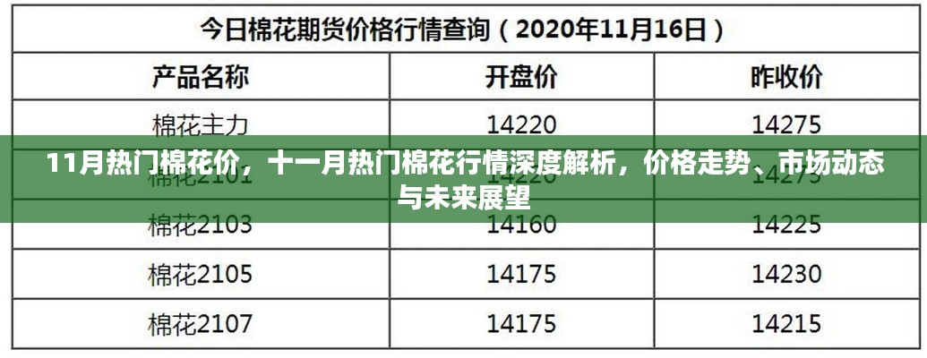 十一月棉花行情深度解析，价格走势、市场动态与未来展望