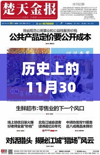 揭秘，历史上的西极冰最新作品——11月30日篇章重磅出炉！