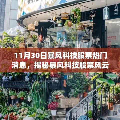 揭秘暴风科技股票风云背后的隐藏宝藏与小巷特色小店的奇遇记