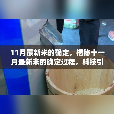 揭秘十一月最新米确定过程，科技引领稻米品质革新篇章