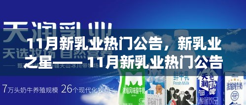 11月新乳业热门公告全景解析，新乳业之星闪耀登场！