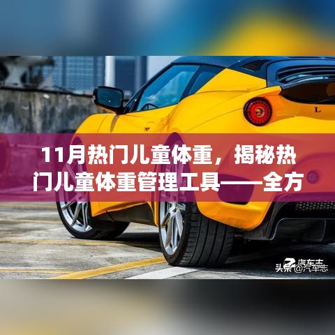 揭秘热门儿童体重管理工具，全方位解读产品特性、体验与竞品对比，助你掌握孩子体重健康状态！