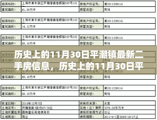 历史上的11月30日平潮镇二手房市场深度解析及最新信息概览，深度解读市场趋势与最新房源信息。