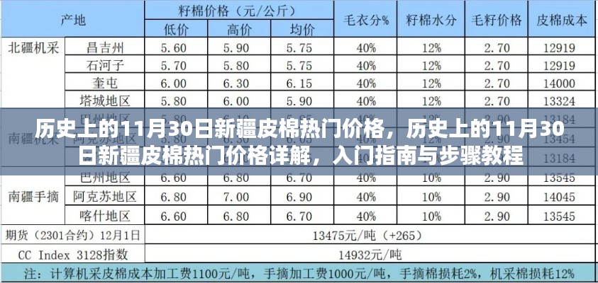 历史上的11月30日新疆皮棉价格详解，入门指南与最新动态