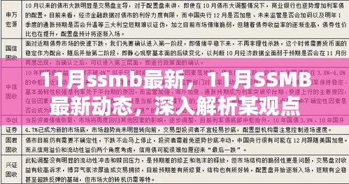 深入解析某观点，最新动态与解读关于11月SSMB的最新消息