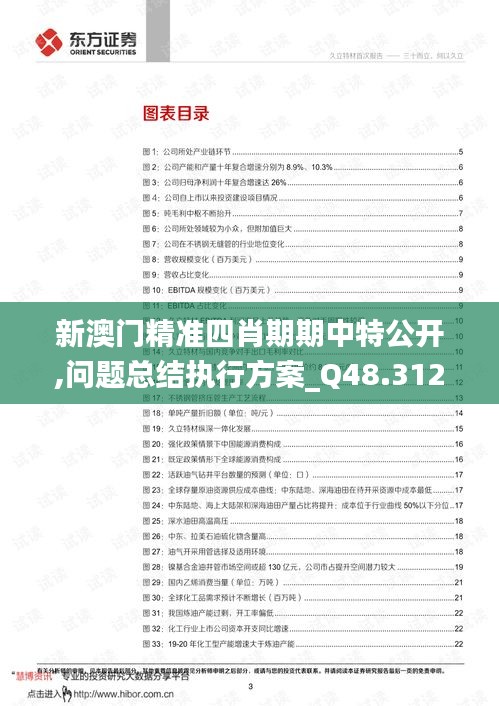 新澳门精准四肖期期中特公开,问题总结执行方案_Q48.312-6