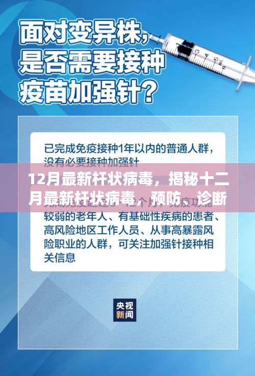 揭秘最新杆状病毒，预防、诊断与治疗策略（十二月版）