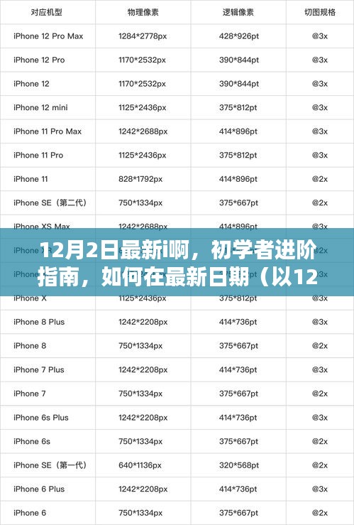 初学者进阶指南，掌握新技能或任务的完整教程（以最新日期为例，以12月2日为参考）