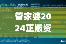 管家婆2024正版资料大全,整体讲解执行_Chromebook84.277-4