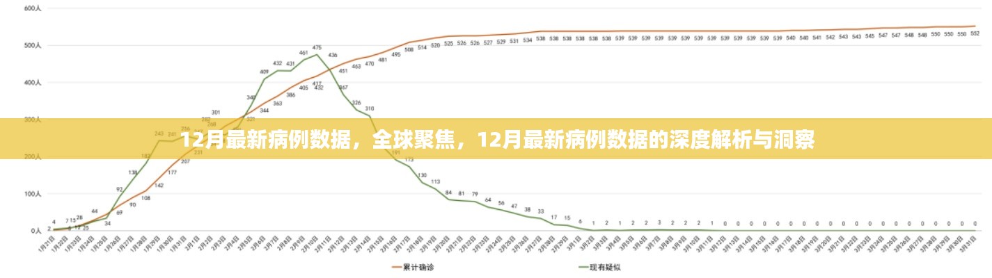 全球聚焦，深度解析与洞察12月最新病例数据