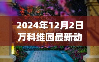 万科维园新篇章，探索自然美景，启程心灵宁静之旅（2024年12月2日动态更新）