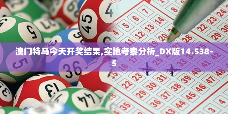 澳门特马今天开奖结果,实地考察分析_DX版14.538-5