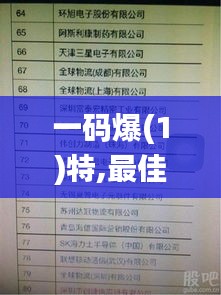 一码爆(1)特,最佳精选解释定义_特供版95.301-5