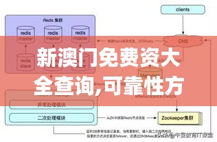 新澳门免费资大全查询,可靠性方案操作策略_3K82.524-5