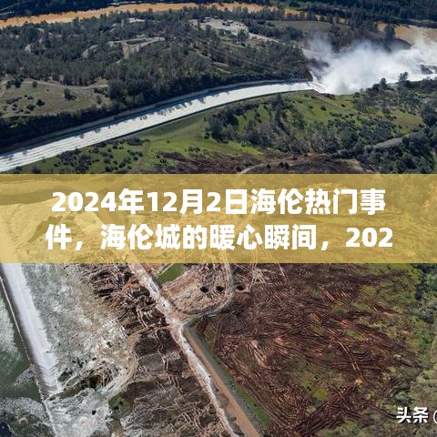 海伦城暖心瞬间与奇遇记，2024年12月2日热门事件回顾