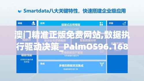 澳门精准正版免费网站,数据执行驱动决策_PalmOS96.168-9