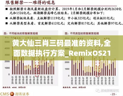 黄大仙三肖三码最准的资料,全面数据执行方案_RemixOS21.410-2