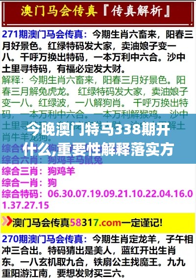 今晚澳门特马338期开什么,重要性解释落实方法_U48.591-3