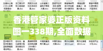 香港管家婆正版资料图一338期,全面数据解析执行_AR版94.239-3