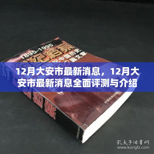 大安市十二月最新消息全面评测与详细介绍