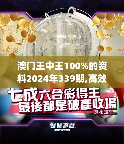 澳门王中王100%的资料2024年339期,高效实施设计策略_专属款17.703-5