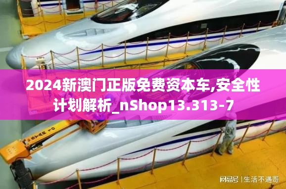 2024新澳门正版免费资本车,安全性计划解析_nShop13.313-7