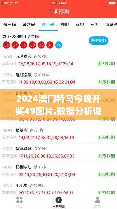 2024澳门特马今晚开奖49图片,数据分析说明_C版65.811-6