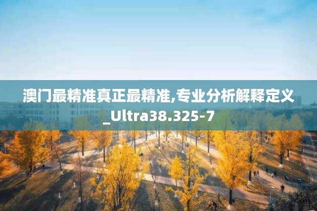 澳门最精准真正最精准,专业分析解释定义_Ultra38.325-7