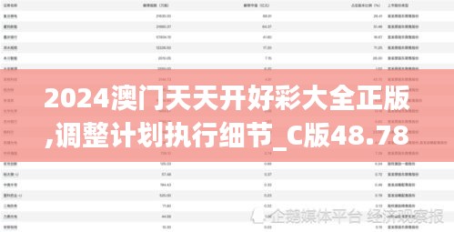 2024澳门天天开好彩大全正版,调整计划执行细节_C版48.784-9