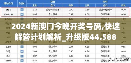 2024新澳门今晚开奖号码,快速解答计划解析_升级版44.588-4