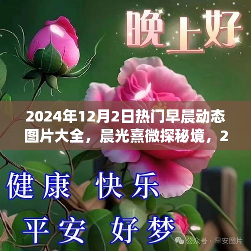 晨光熹微探秘境，2024年12月2日早晨动态美景与图片大全分享