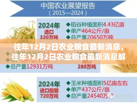 往年12月2日农业粮食最新消息解读与应对策略指南，消息速递与行动指南