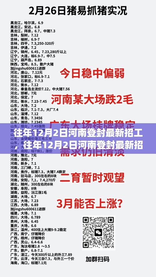 河南登封最新招工现象深度解析与观点阐述，历年12月2日招工趋势探讨