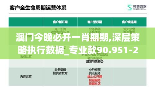 澳门今晚必开一肖期期,深层策略执行数据_专业款90.951-2