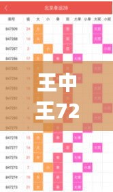 王中王72396.cσm.72326查询精选16码一,定量分析解释定义_V257.576-4