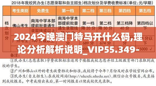 2024今晚澳门特马开什么码,理论分析解析说明_VIP55.349-3