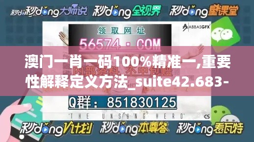 澳门一肖一码100%精准一,重要性解释定义方法_suite42.683-6