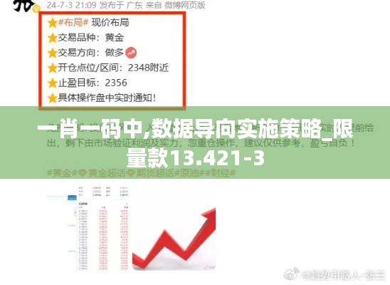 一肖一码中,数据导向实施策略_限量款13.421-3