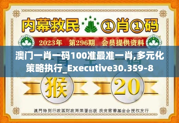 澳门一肖一码100准最准一肖,多元化策略执行_Executive30.359-8