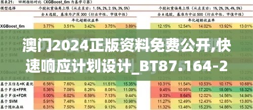 澳门2024正版资料免费公开,快速响应计划设计_BT87.164-2