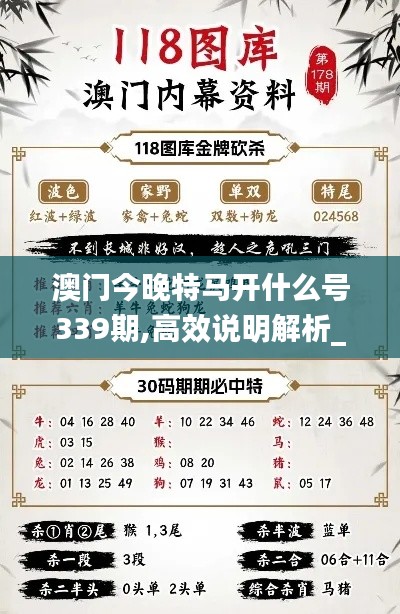 澳门今晚特马开什么号339期,高效说明解析_专家版27.259-4