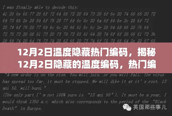 揭秘热门编程语言中的温度编码，揭秘秘密武器与隐藏编码的奥秘（12月2日）