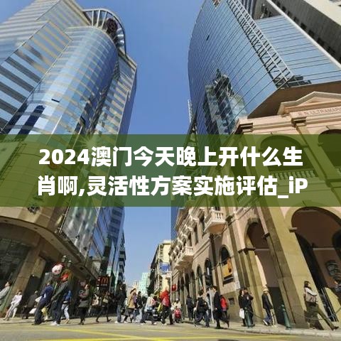 2024澳门今天晚上开什么生肖啊,灵活性方案实施评估_iPhone2.724-2