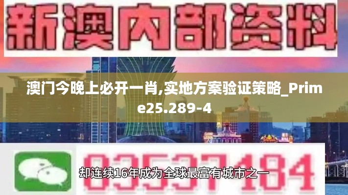 澳门今晚上必开一肖,实地方案验证策略_Prime25.289-4