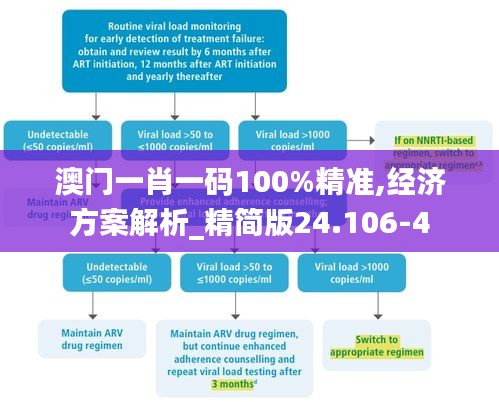 澳门一肖一码100%精准,经济方案解析_精简版24.106-4