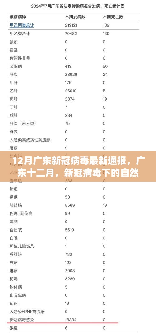 广东十二月新冠病毒最新通报，自然探索之旅寻找内心宁静绿洲